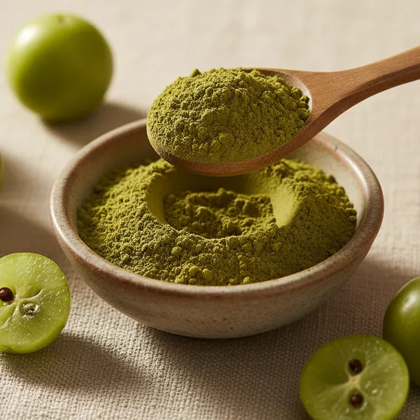 Dehydrated Amla Powder — dehydrated food powder by ThermDry