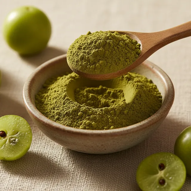 Dehydrated Amla Powder — dehydrated food powder by ThermDry
